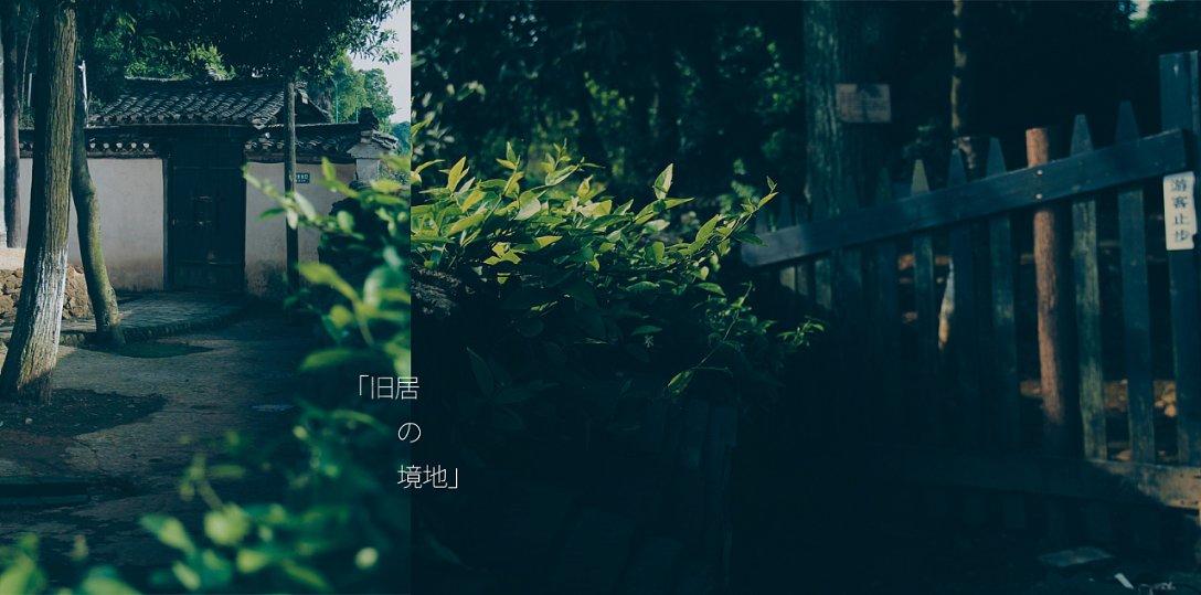 尘埃4
